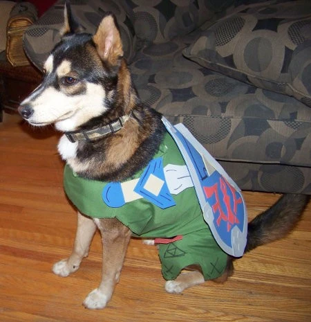 halloween_link_dog